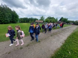 20220523_124901_copy_1024x768